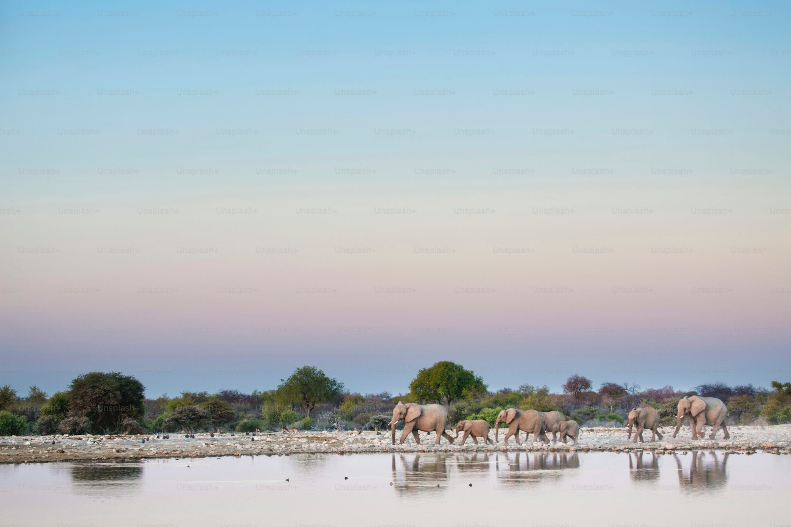 Sustainable development and climate action in Africa